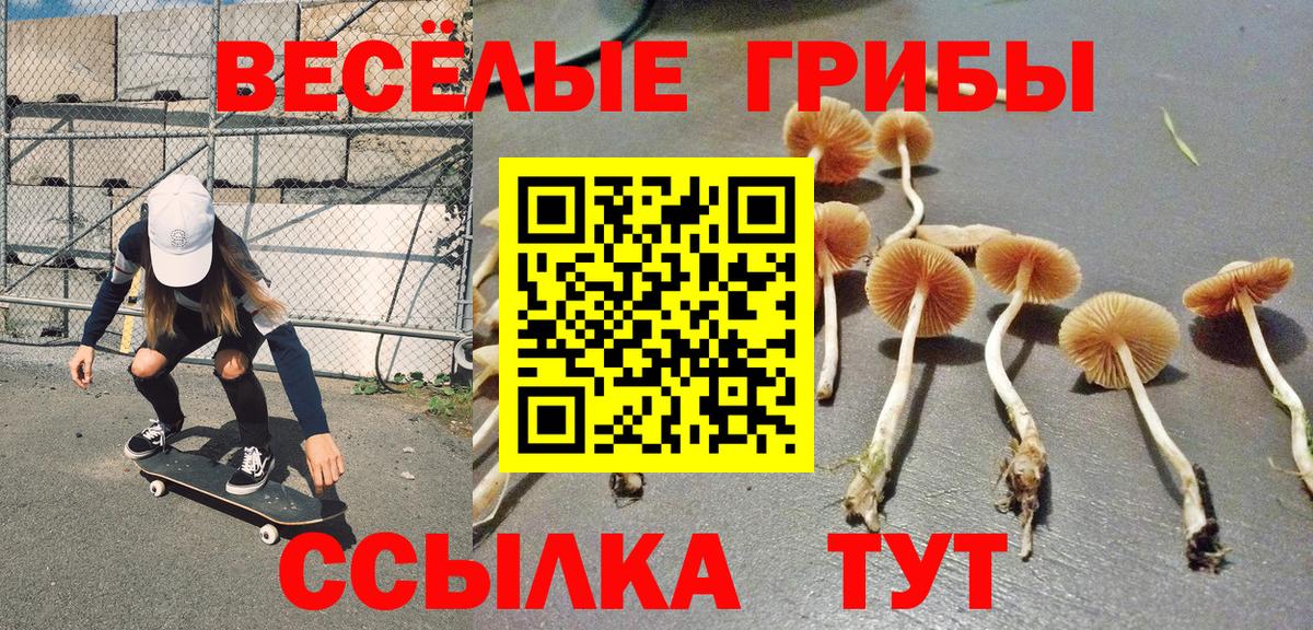 Псилоцибиновые грибы Cubensis  Псилоцибиновые грибы мухоморы  Котельники  Вход с VPN 